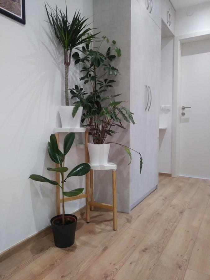 Apartment Oliva 4 Stars *