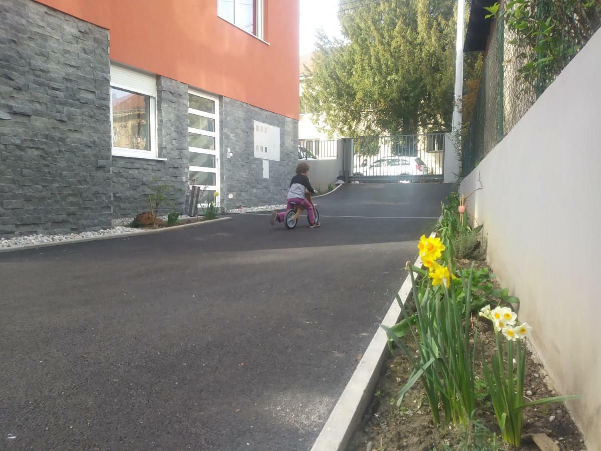 Apartment Oliva 4 Stars *