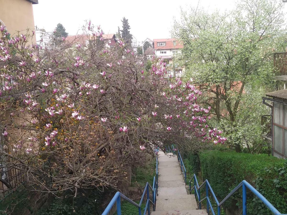 Oliva 4 Stars Apartment